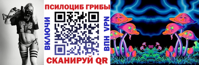 где найти наркотики  Протвино  blacksprut сайт  Галлюциногенные грибы мицелий 